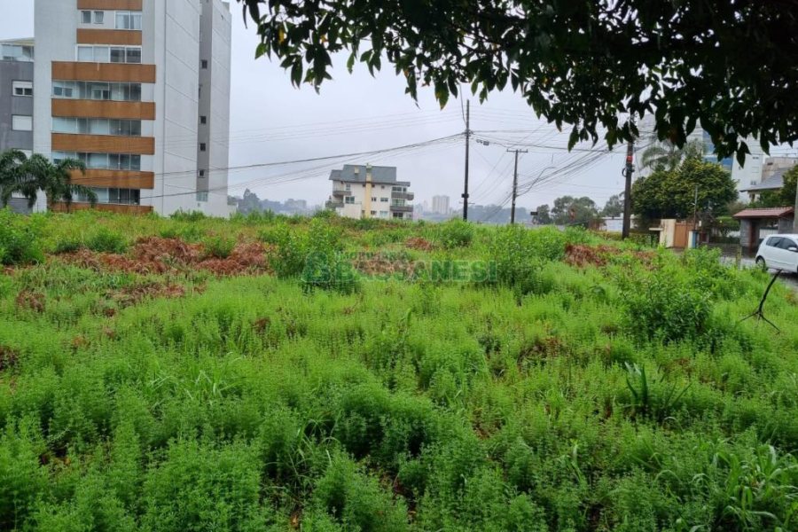 Terreno com 1260m², no bairro Sanvitto em Caxias do Sul para Comprar