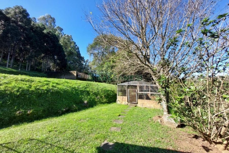 Chácara com 81307m², 4 dormitórios, 2 vagas, no bairro 3 Legua em Caxias do Sul para Comprar