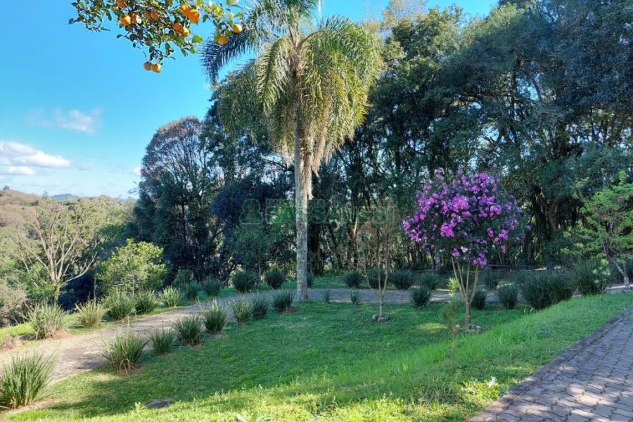 Chácara com 81307m², 4 dormitórios, 2 vagas, no bairro 3 Legua em Caxias do Sul para Comprar