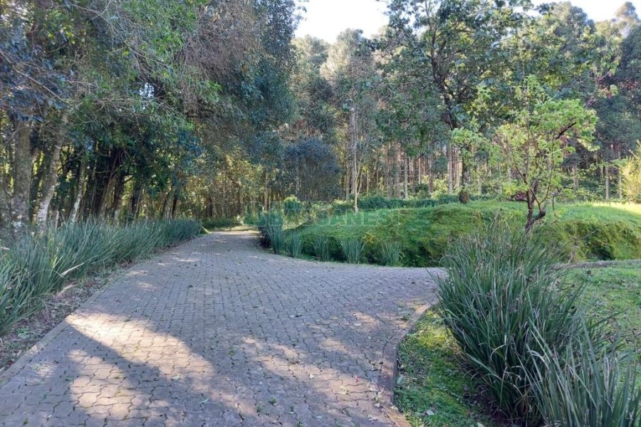 Chácara com 81307m², 4 dormitórios, 2 vagas, no bairro 3 Legua em Caxias do Sul para Comprar