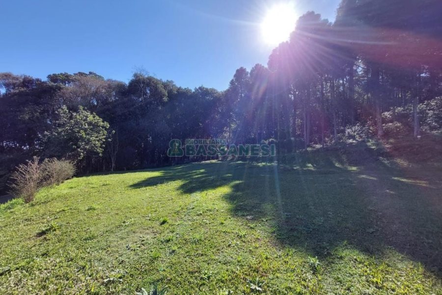 Chácara com 81307m², 4 dormitórios, 2 vagas, no bairro 3 Legua em Caxias do Sul para Comprar