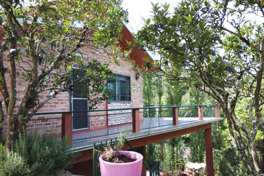 Chácara com 81307m², 4 dormitórios, 2 vagas, no bairro 3 Legua em Caxias do Sul para Comprar