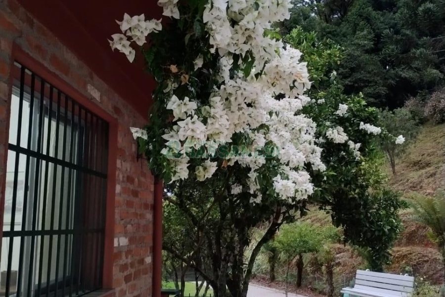 Chácara com 81307m², 4 dormitórios, 2 vagas, no bairro 3 Legua em Caxias do Sul para Comprar