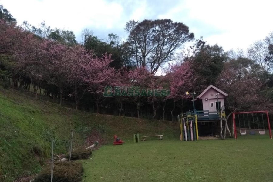 Chácara com 81307m², 4 dormitórios, 2 vagas, no bairro 3 Legua em Caxias do Sul para Comprar