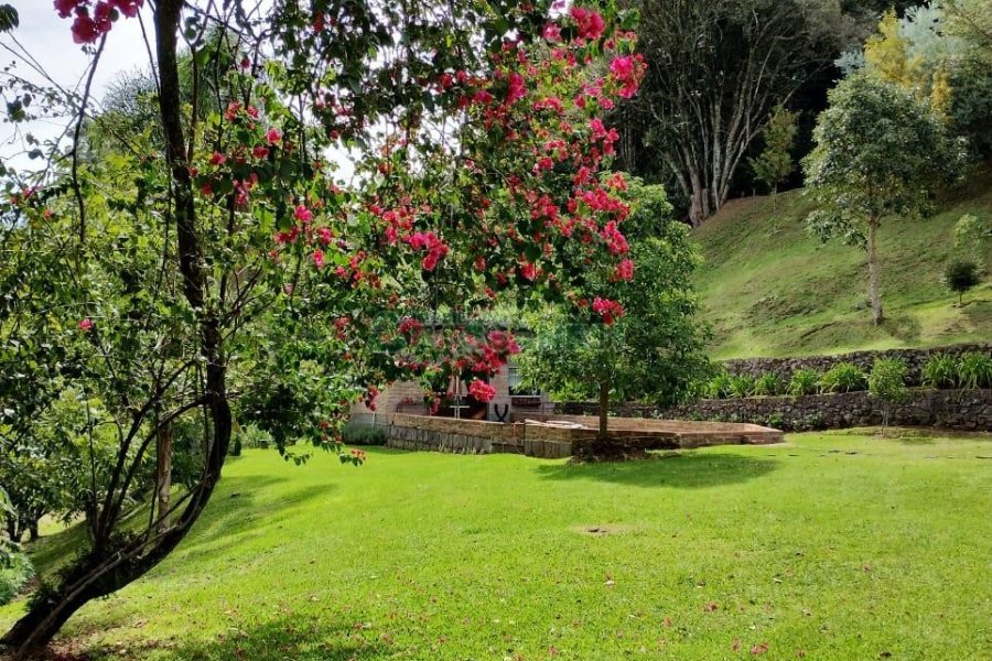 Chácara com 81307m², 4 dormitórios, 2 vagas, no bairro 3 Legua em Caxias do Sul para Comprar