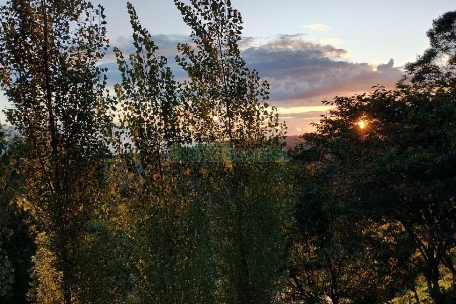 Chácara com 81307m², 4 dormitórios, 2 vagas, no bairro 3 Legua em Caxias do Sul para Comprar