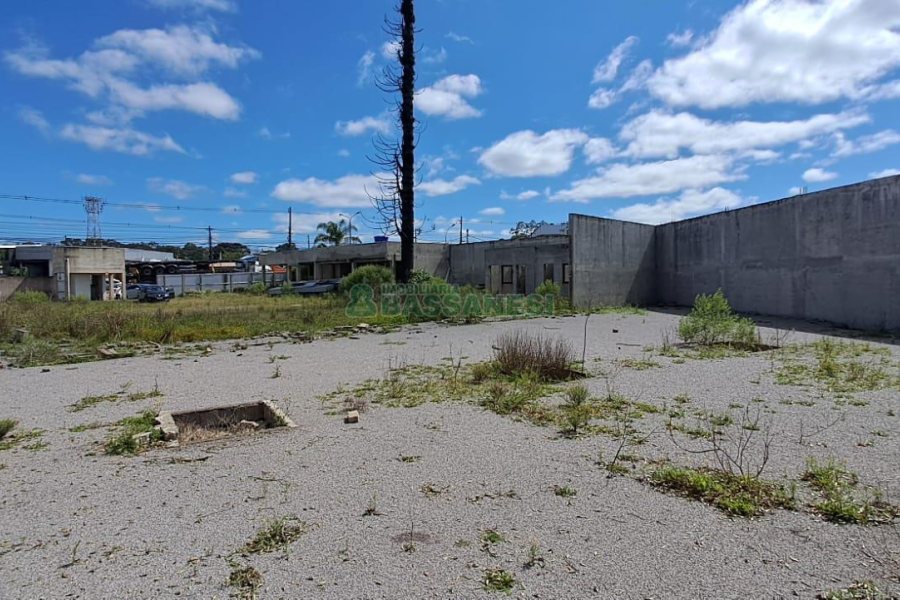 Terreno com 1985m², no bairro São Ciro em Caxias do Sul para Alugar