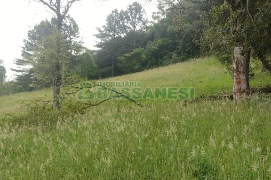 Terreno com 1939m², no bairro Linha 40 em Caxias do Sul para Comprar