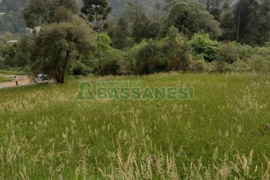Terreno com 1939m², no bairro Linha 40 em Caxias do Sul para Comprar
