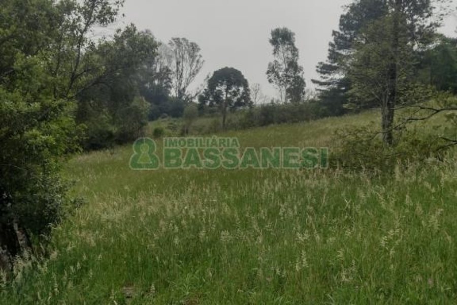 Terreno com 1939m², no bairro Linha 40 em Caxias do Sul para Comprar