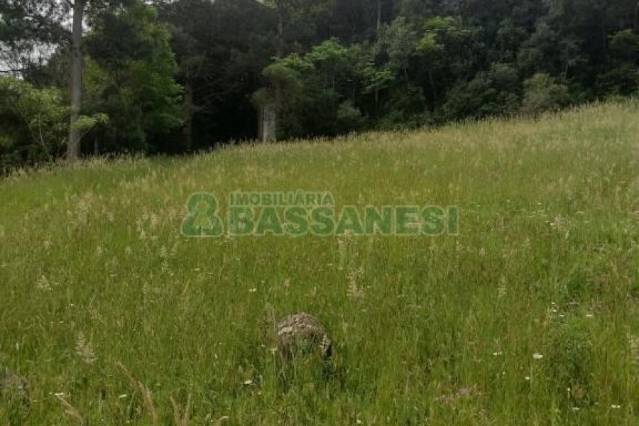 Terreno com 1939m², no bairro Linha 40 em Caxias do Sul para Comprar