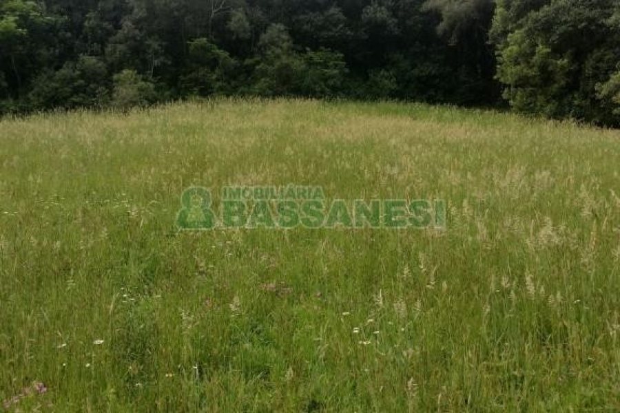 Terreno com 1939m², no bairro Linha 40 em Caxias do Sul para Comprar