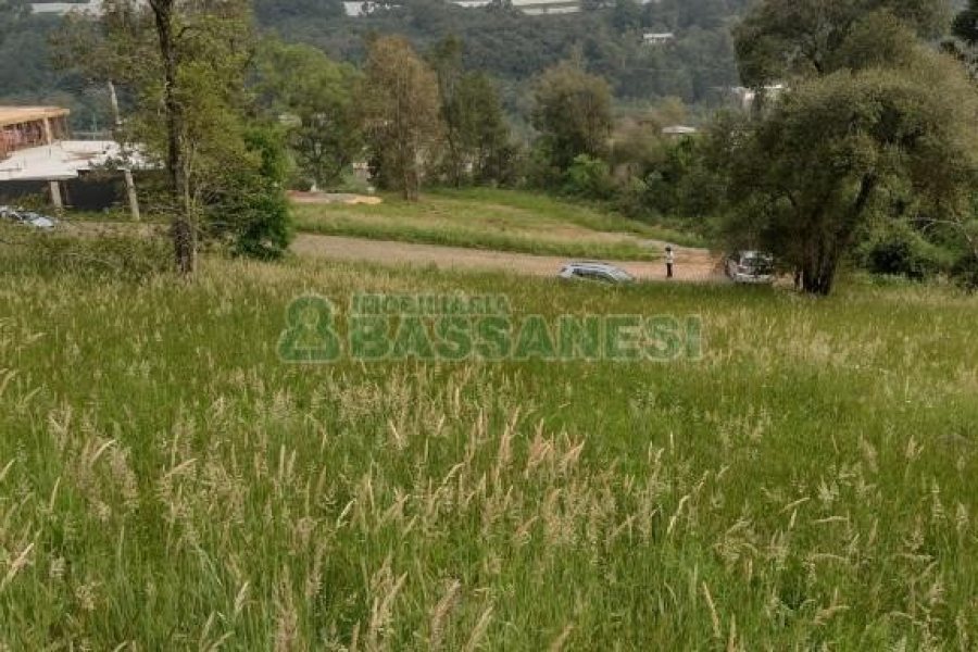 Terreno com 1939m², no bairro Linha 40 em Caxias do Sul para Comprar