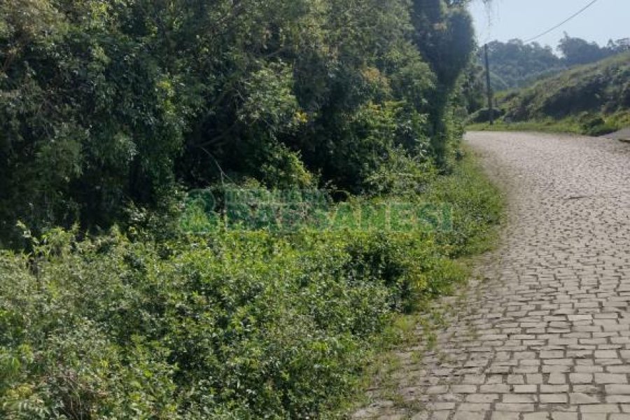 Terreno com 2989m², no bairro Nossa Senhora da Conceição em Caxias do Sul para Comprar