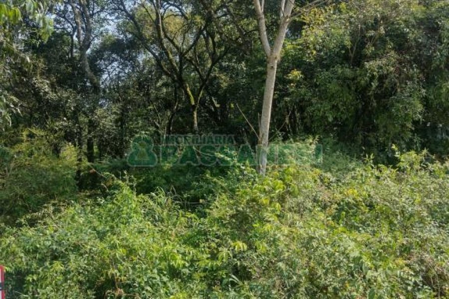 Terreno com 2989m², no bairro Nossa Senhora da Conceição em Caxias do Sul para Comprar