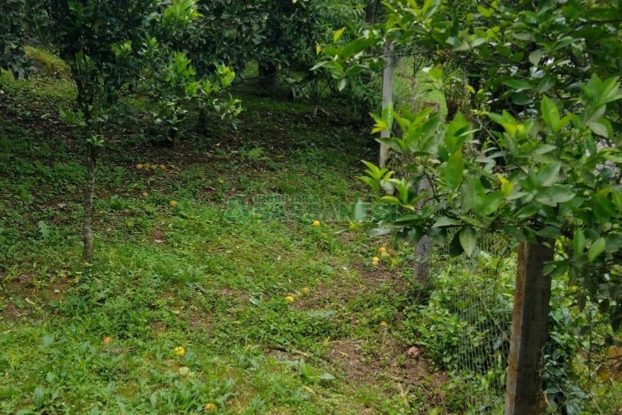 Casa com 231m², 3 dormitórios, no bairro Galópolis em Caxias do Sul para Comprar