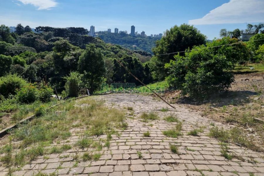 Terreno com 5940m², no bairro Salgado Filho em Caxias do Sul para Comprar