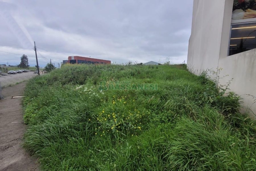 Terreno com 720m², no bairro Charqueadas em Caxias do Sul para Alugar