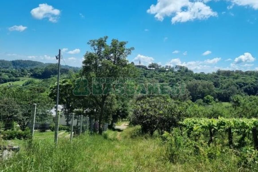 Chácara com 32710m², no bairro Linha Feijo em Caxias do Sul para Comprar