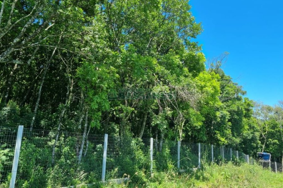 Chácara com 32710m², no bairro Linha Feijo em Caxias do Sul para Comprar