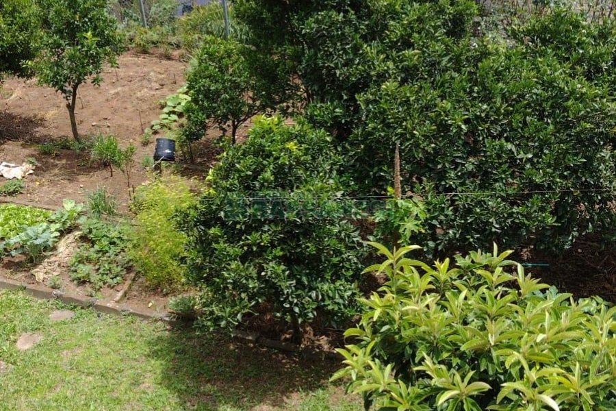 Casa com 182m², 3 dormitórios, 1 vaga, no bairro Colina Sorriso em Caxias do Sul para Comprar