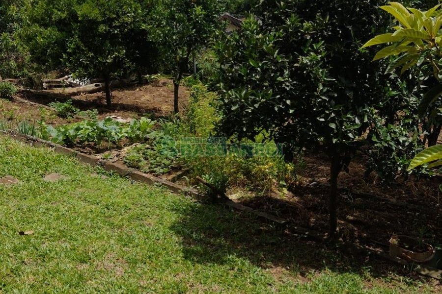 Casa com 182m², 3 dormitórios, 1 vaga, no bairro Colina Sorriso em Caxias do Sul para Comprar