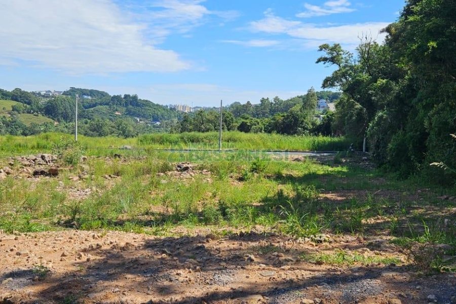 Terreno, no bairro Nossa Senhora das Graças em Caxias do Sul para Comprar