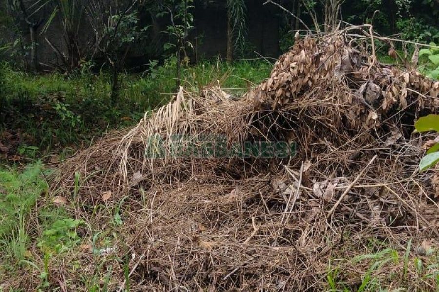 Casa com 106m², 4 dormitórios, 1 vaga, no bairro Marechal Floriano em Caxias do Sul para Comprar