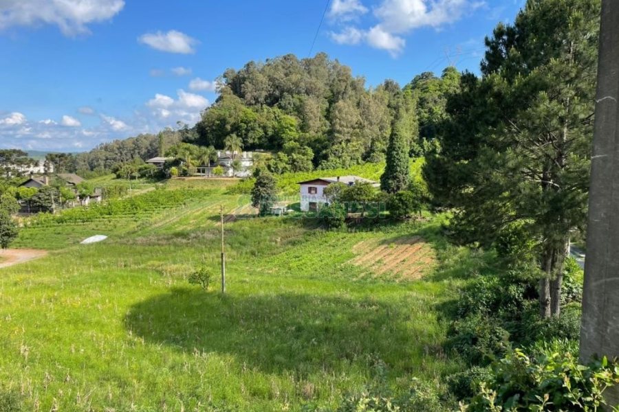 Terreno com 19262m², no bairro Diamantino em Caxias do Sul para Comprar