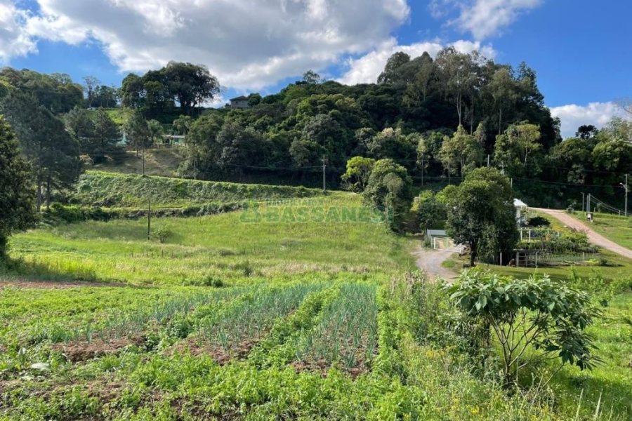 Terreno com 19262m², no bairro Diamantino em Caxias do Sul para Comprar