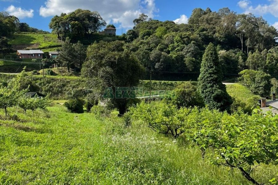 Terreno com 19262m², no bairro Diamantino em Caxias do Sul para Comprar