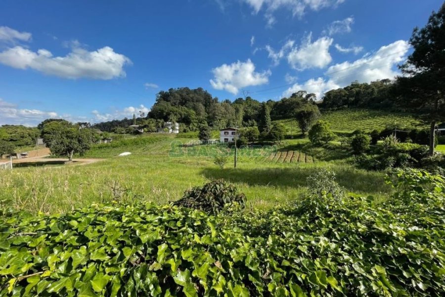 Terreno com 19262m², no bairro Diamantino em Caxias do Sul para Comprar