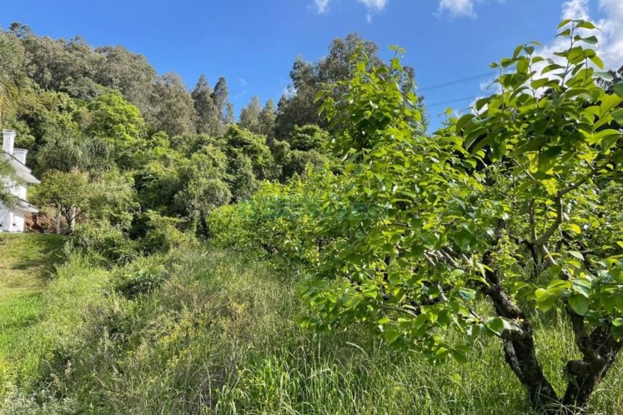 Terreno com 19262m², no bairro Diamantino em Caxias do Sul para Comprar