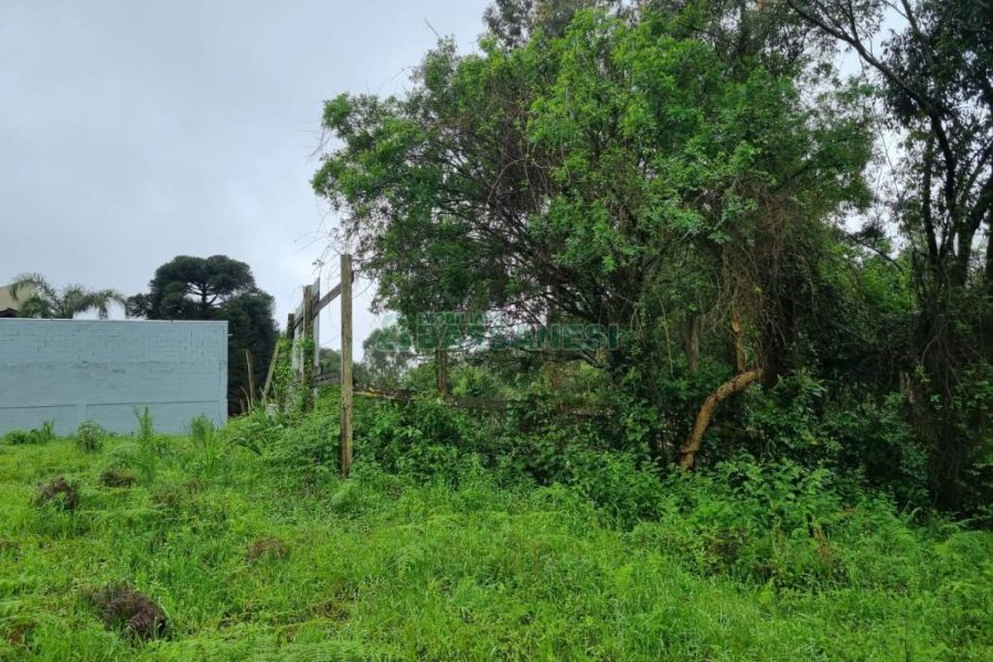 Terreno com 530m², no bairro Treviso em Caxias do Sul para Comprar