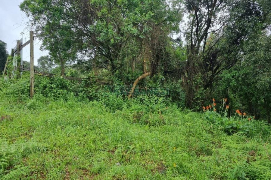 Terreno com 530m², no bairro Treviso em Caxias do Sul para Comprar
