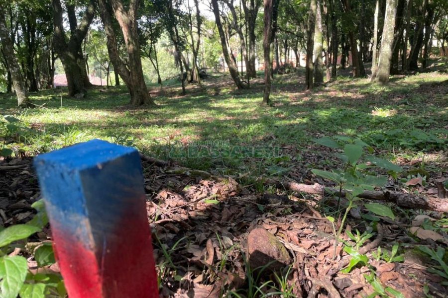 Terreno com 1397m², no bairro São Virgílio em Caxias do Sul para Comprar