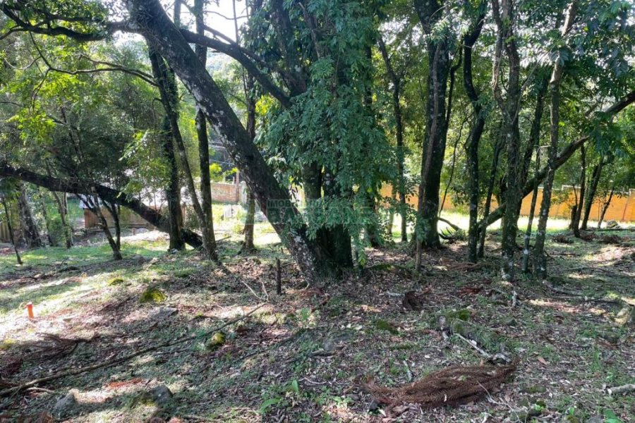 Terreno com 1313m², no bairro São Virgílio em Caxias do Sul para Comprar