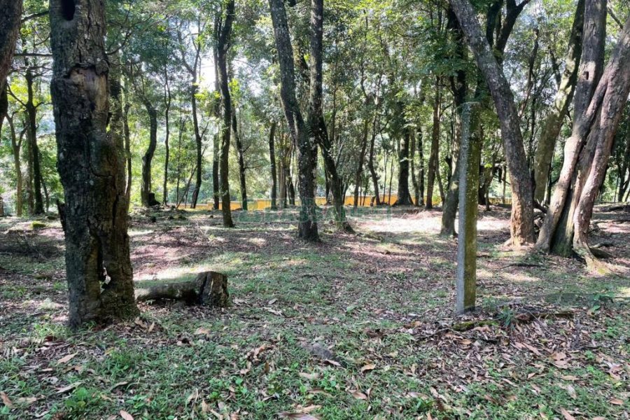 Terreno com 1313m², no bairro São Virgílio em Caxias do Sul para Comprar