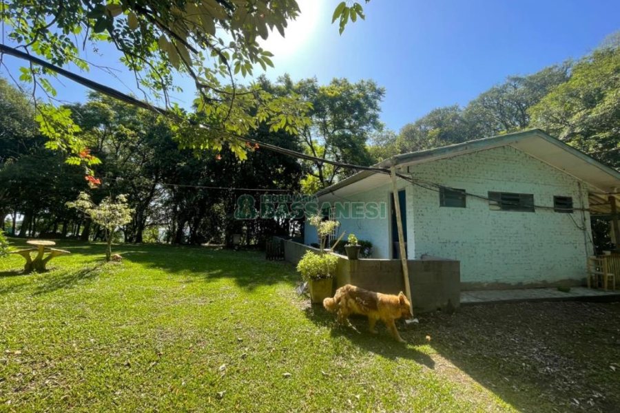 Terreno com 8000m², no bairro São Virgílio em Caxias do Sul para Comprar