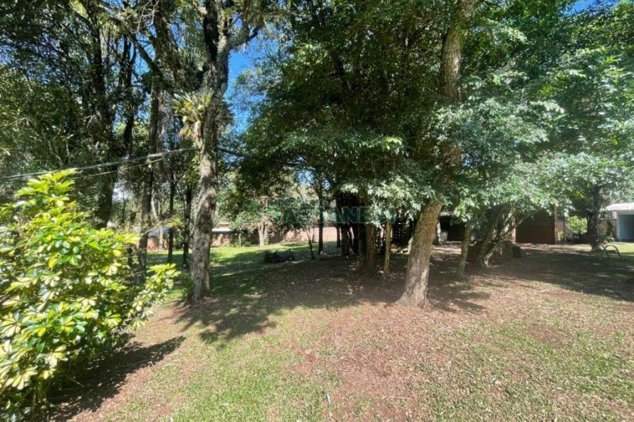 Terreno com 8000m², no bairro São Virgílio em Caxias do Sul para Comprar