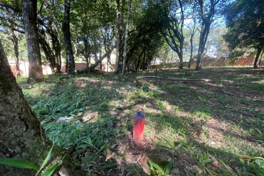 Terreno com 1271m², no bairro São Virgílio em Caxias do Sul para Comprar