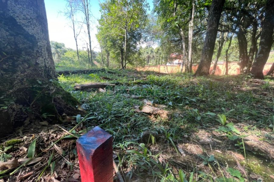 Terreno com 1271m², no bairro São Virgílio em Caxias do Sul para Comprar