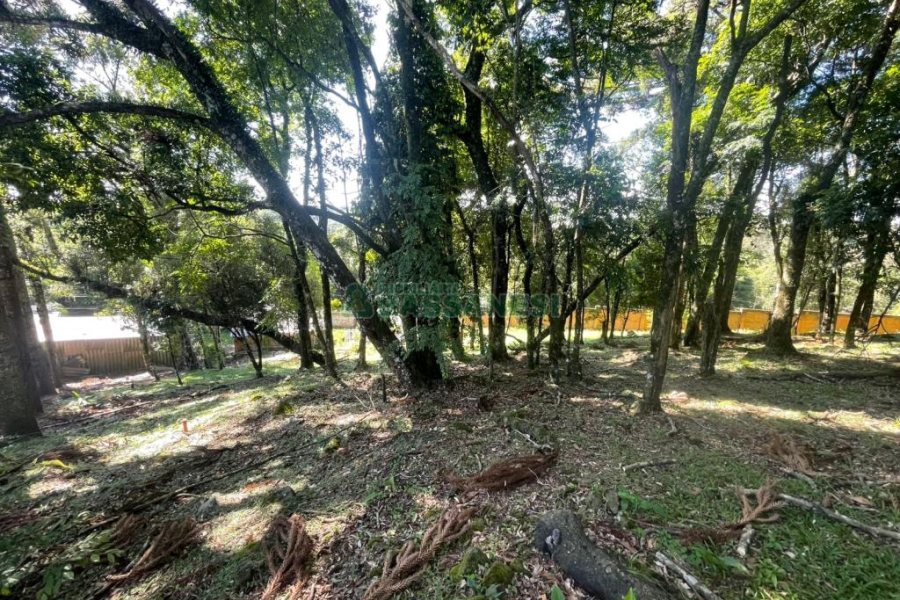 Terreno com 1094m², no bairro São Virgílio em Caxias do Sul para Comprar