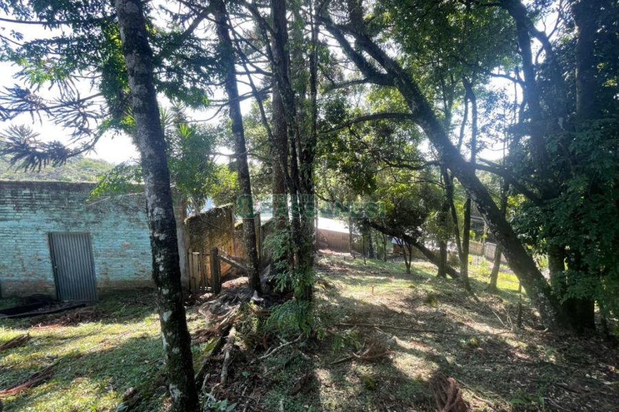 Terreno com 1094m², no bairro São Virgílio em Caxias do Sul para Comprar