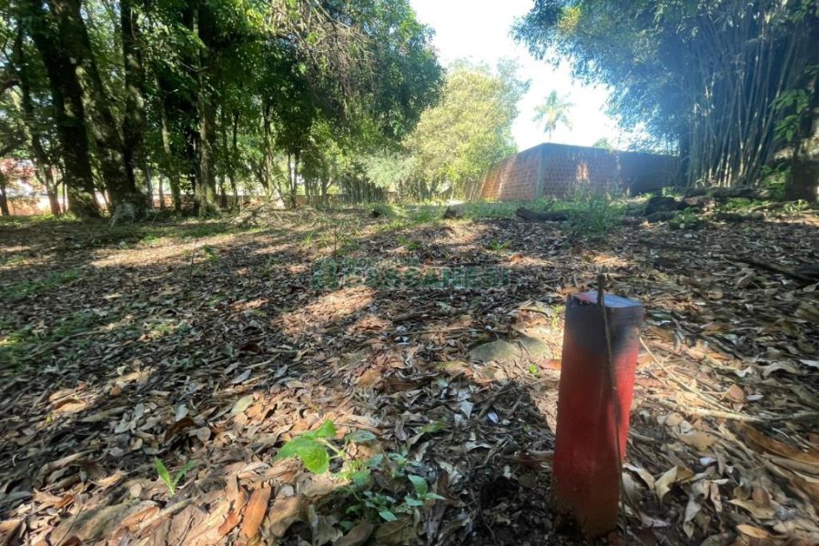 Terreno com 1279m², no bairro São Virgílio em Caxias do Sul para Comprar