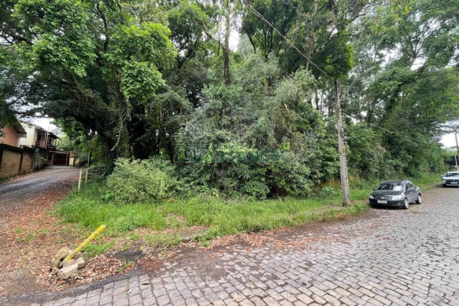 Terreno com 1500m², no bairro Serrano em Caxias do Sul para Comprar