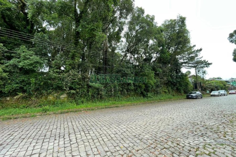 Terreno com 1500m², no bairro Serrano em Caxias do Sul para Comprar