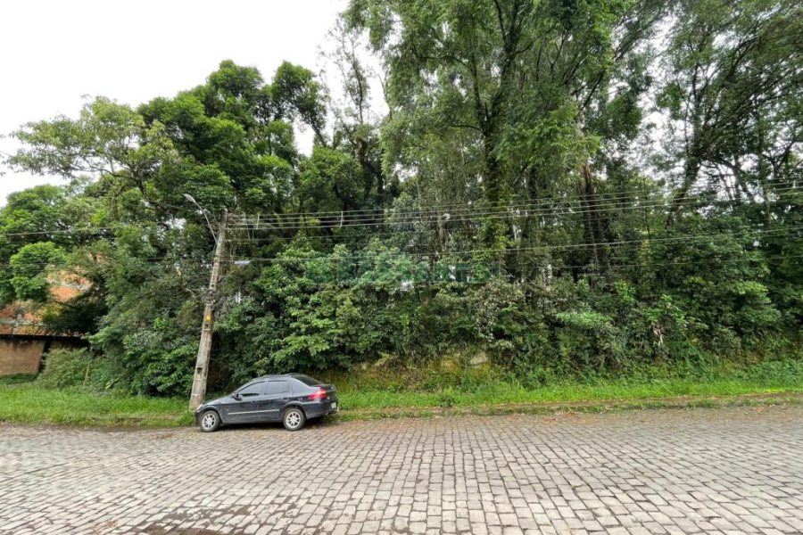 Terreno com 1500m², no bairro Serrano em Caxias do Sul para Comprar