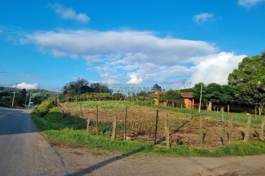 Chácara com 115365m², no bairro Monte Bérico em Caxias do Sul para Comprar