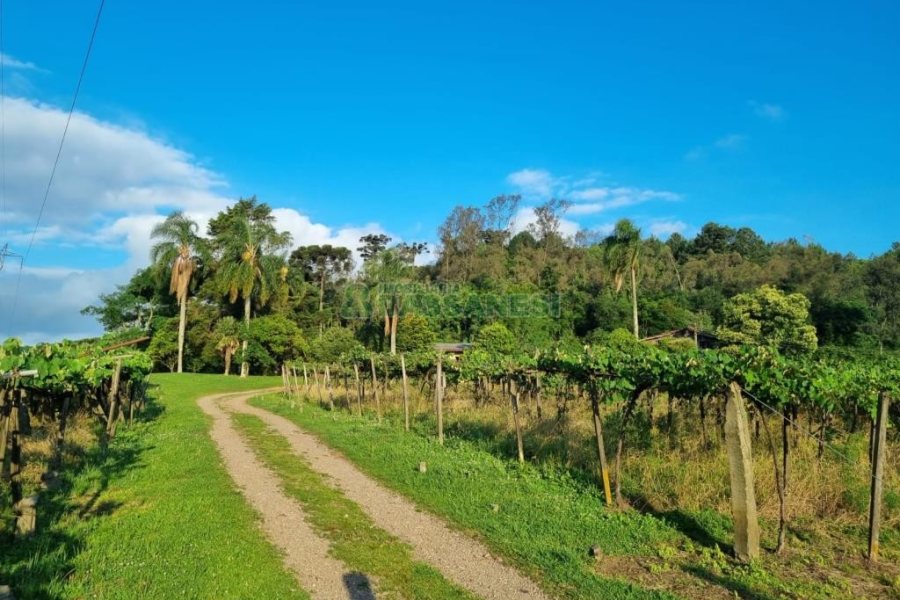 Chácara com 115365m², no bairro Monte Bérico em Caxias do Sul para Comprar